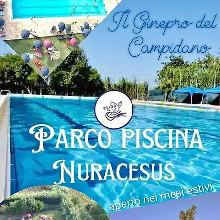 Il Ginepro Del Campidano * Nuraminis